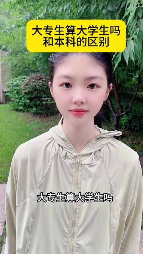 职业学校网站seo优化