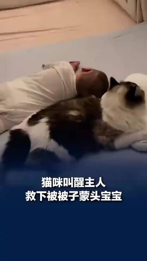 婴儿被子蒙头险窒息，小猫扒醒宝妈及时救娃！一文收好婴幼儿睡眠安全指南