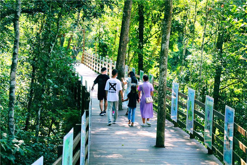 喜迎COP15休闲区蓝鸢梦想 - Www.slyday.coM 喜迎COP15休闲区蓝鸢梦想 - Www.slyday.coM