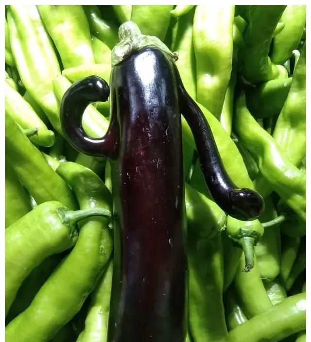 种过蔬菜水果的见过总有那么几个特别的29,稳住别笑,看到这些奇异的