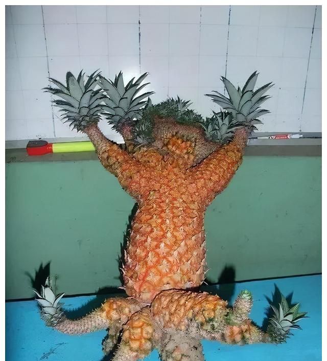 30个"妖娆"的奇形怪状的水果蔬菜,大饱眼福,植物也是很有灵性__财经