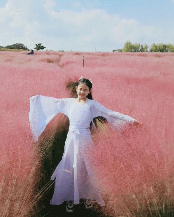 美到逆天少女收割机粉黛乱子草来袭来花仙子邂逅初秋浪漫