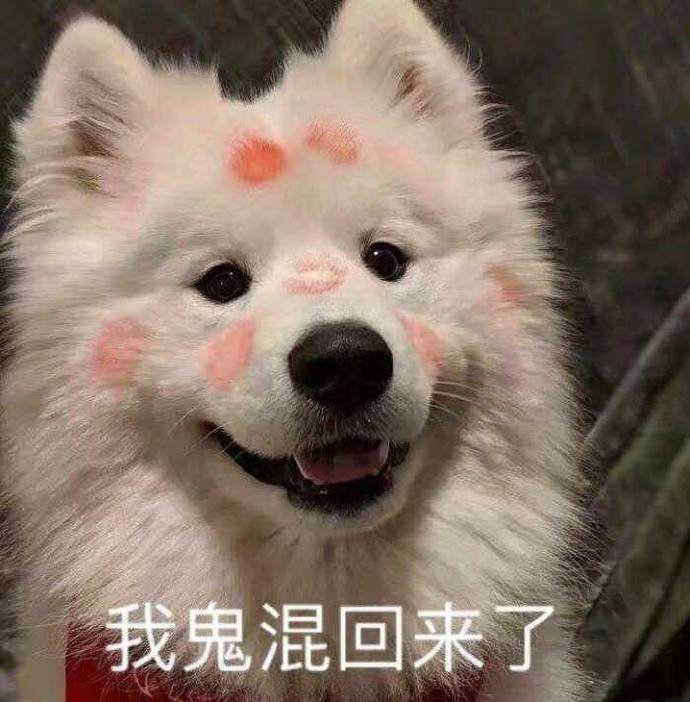 2021413今日份沙雕表情包合集