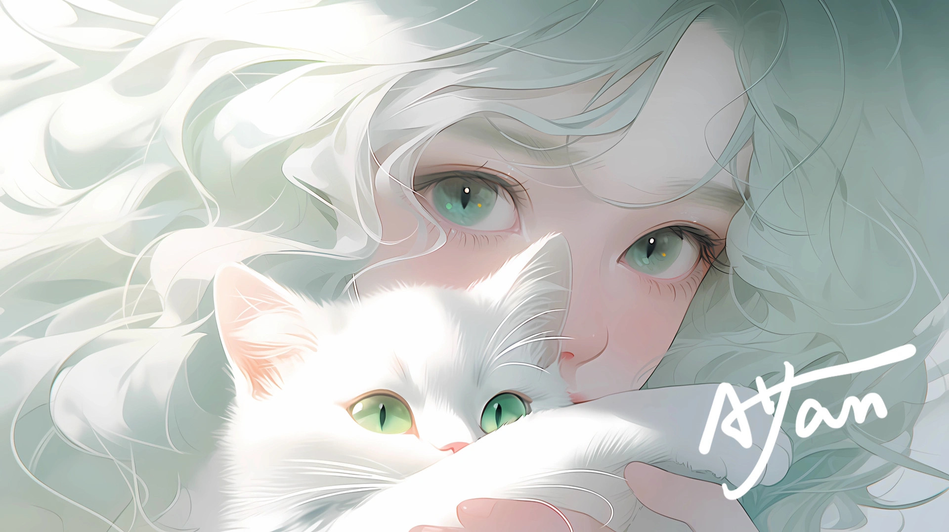 新的ipad电脑壁纸