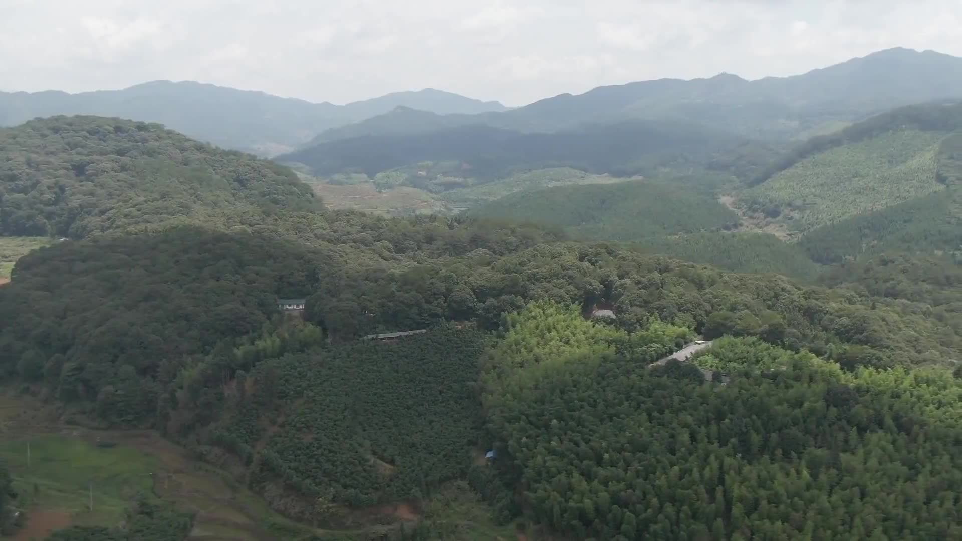 红伞伞 白杆杆 这位闽中仙子 从宋朝 红 到现在 红伞伞 白杆杆 这位闽中仙子 从宋朝 红 到现在