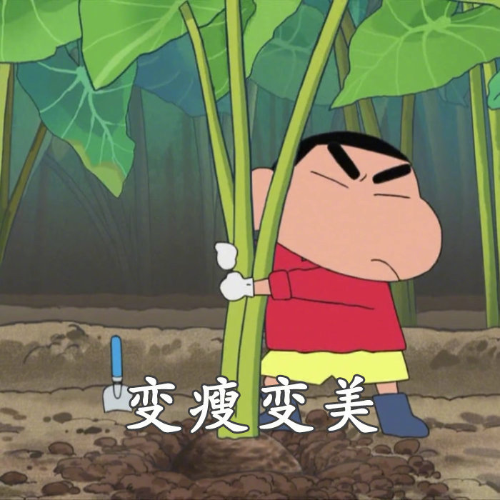 白白胖胖充满希望