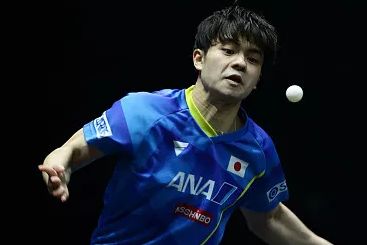 【WTT新加坡大满贯】樊振东轻松晋级男单四强，国乒提前锁定女单冠军休闲区蓝鸢梦想 - Www.slyday.coM