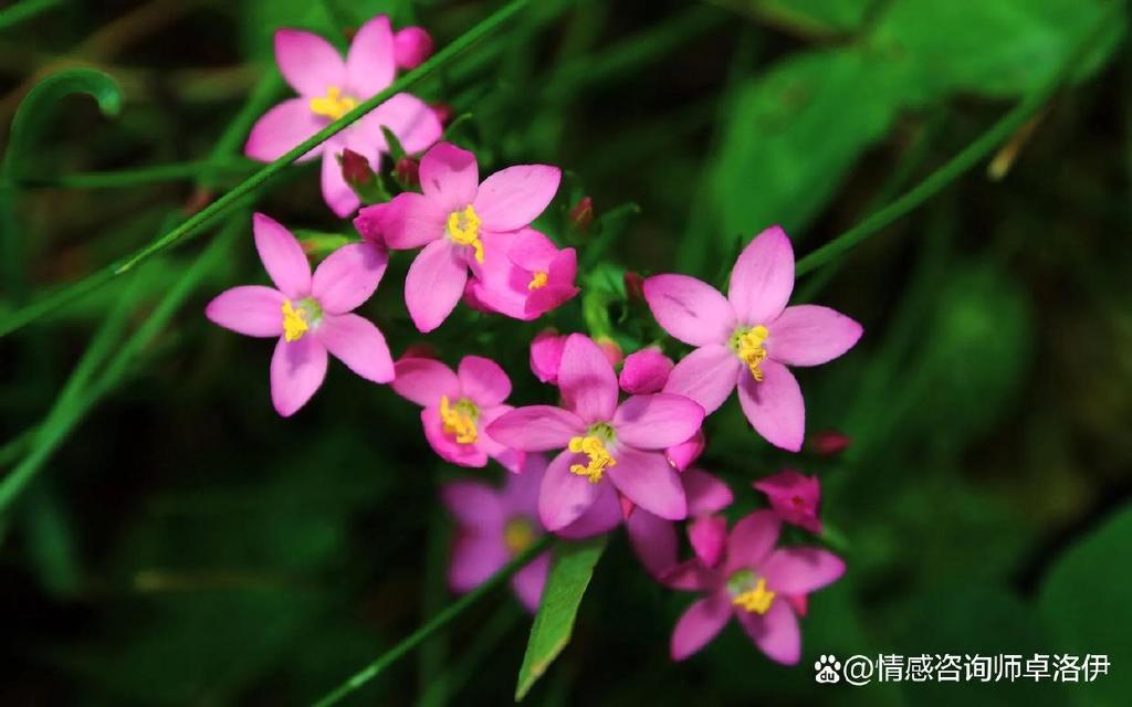 二婚女人的底气从哪里来?做到这3点,你也可以得到美满的婚姻休闲区蓝鸢梦想 - Www.slyday.coM 二婚女人的底气从哪里来?做到这3点,你也可以得到美满的婚姻休闲区蓝鸢梦想 - Www.slyday.coM