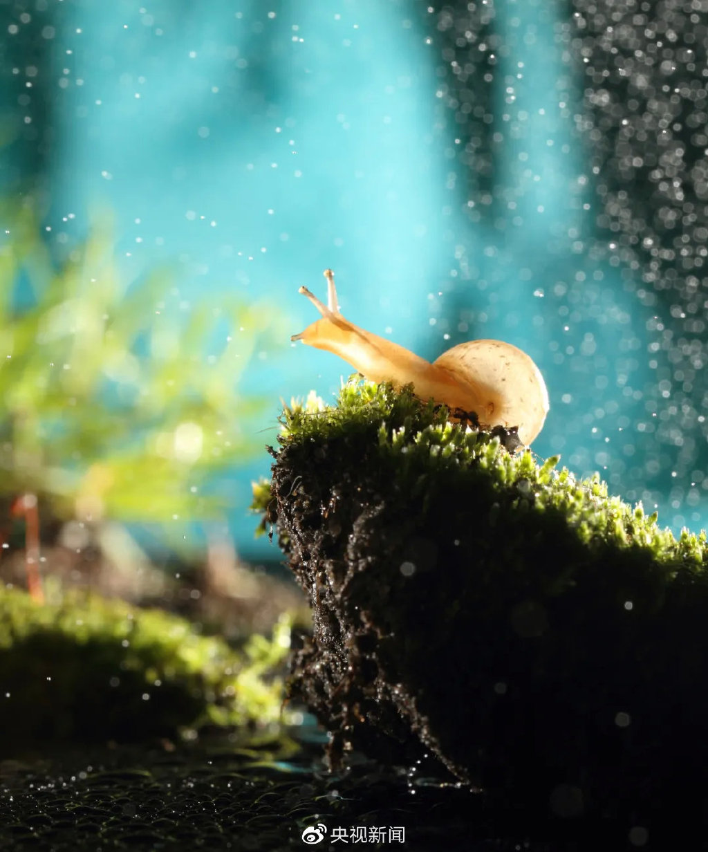 这个立春,巧了!休闲区蓝鸢梦想 - Www.slyday.coM 这个立春,巧了!休闲区蓝鸢梦想 - Www.slyday.coM