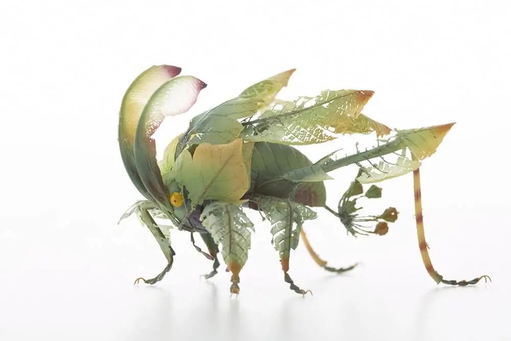 他用树叶制作"新昆虫",漂亮极了,昆虫恐惧症一下好了