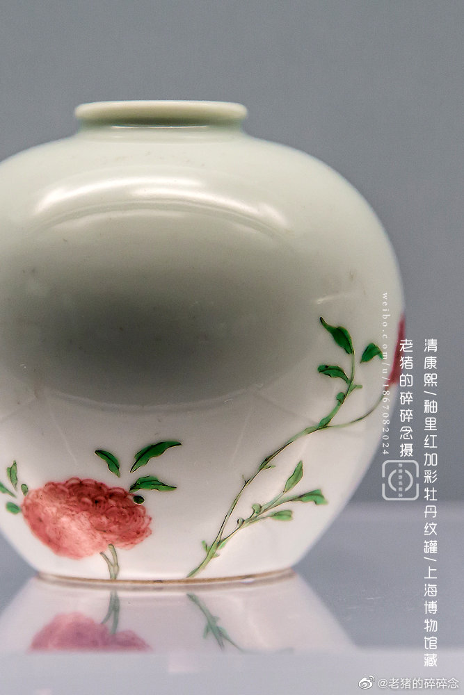 10.11 上海博物馆 清康熙釉里红加彩牡丹纹罐