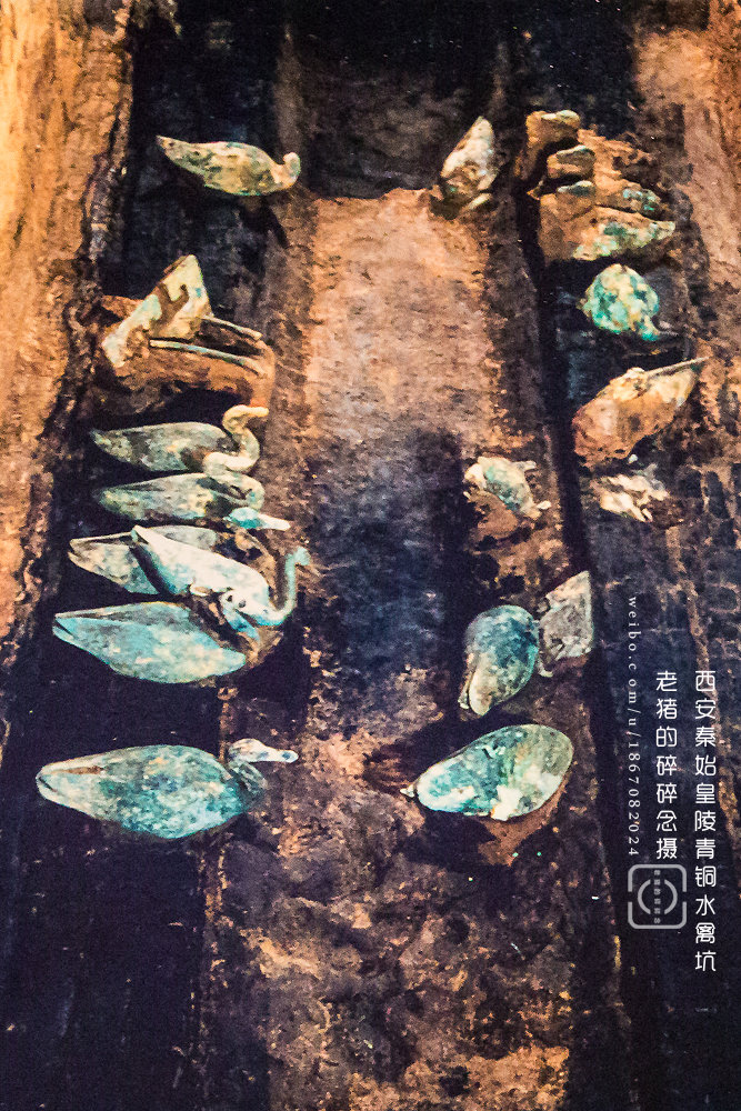 秦始皇陵铜水禽坑现场