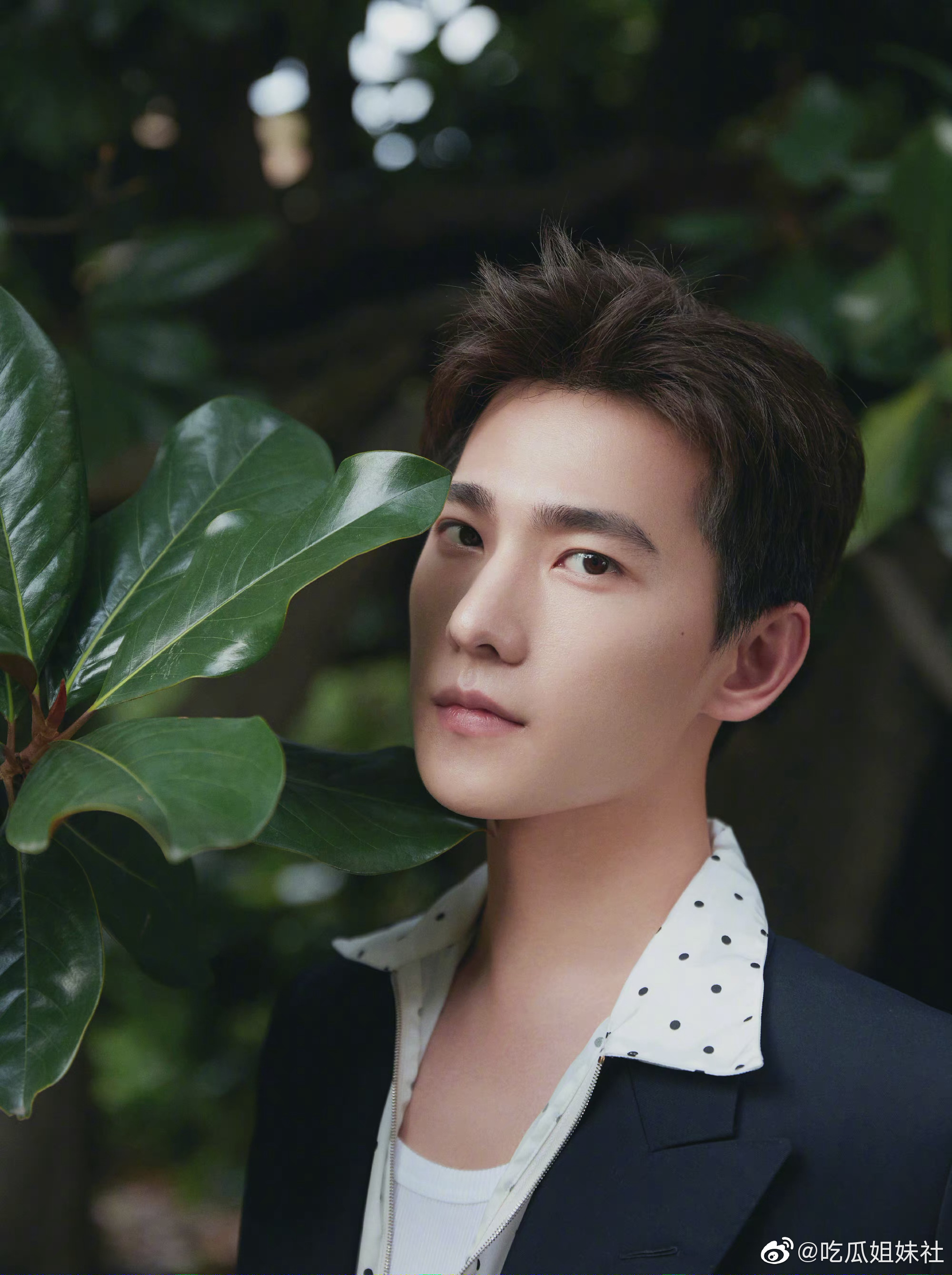 杨洋夏日胶片感大片组图,每张照片看上去都好棒哦!_高清图集_新浪网