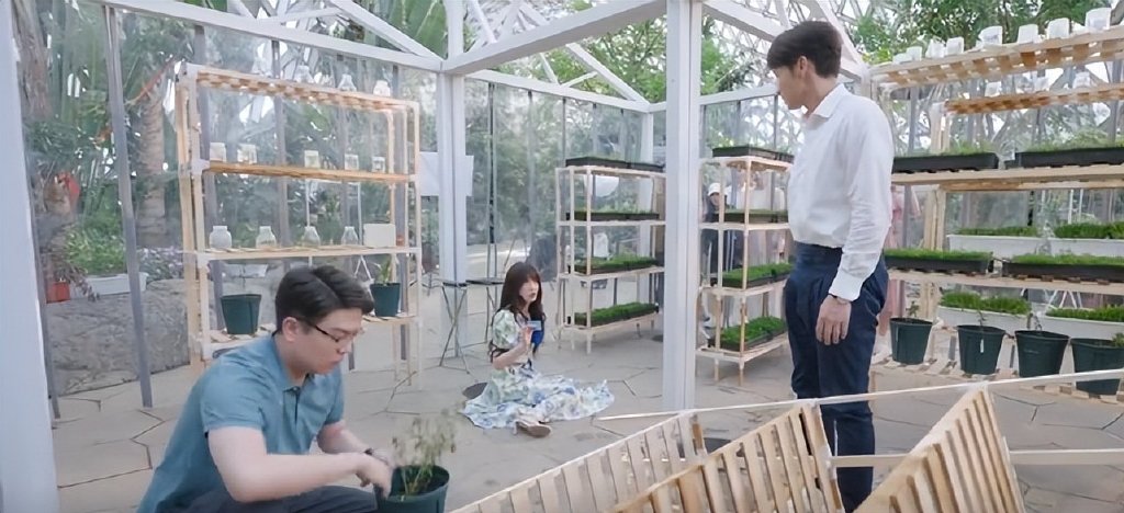 《两个人的小森林》节奏快，虞书欣张彬彬CP感强，众星纷纷宣传休闲区蓝鸢梦想 - Www.slyday.coM