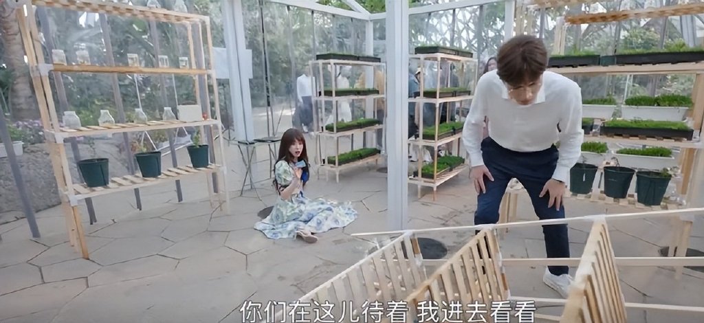 《两个人的小森林》节奏快，虞书欣张彬彬CP感强，众星纷纷宣传休闲区蓝鸢梦想 - Www.slyday.coM