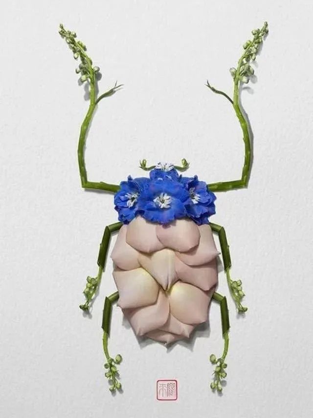 他用植物拼成漂亮的动物图案,价格贵得离谱,让人领略意境之美