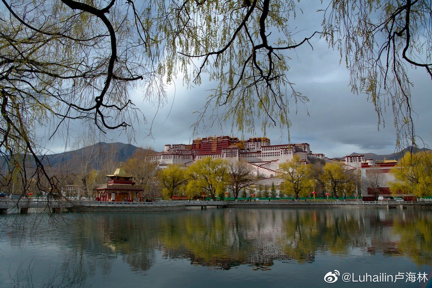 布达拉宫春色美,龙王潭边桃花艳_高清图集_新浪网