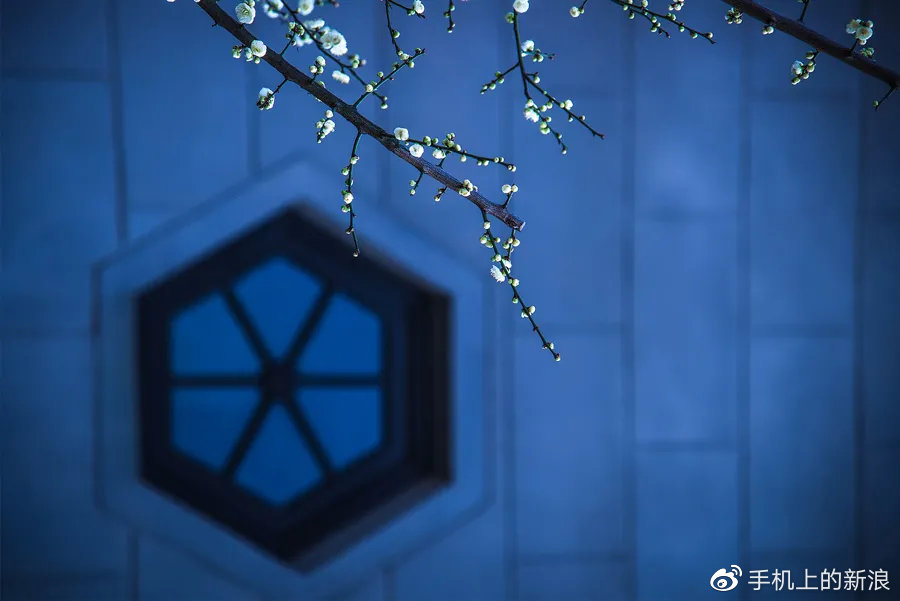 立春：立下一年好光景休闲区蓝鸢梦想 - Www.slyday.coM