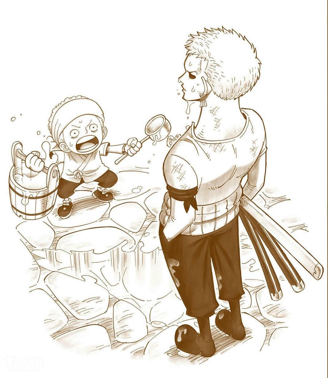 海贼王杂志第19期索隆,罗小说插图来了!分别来自中丸和西村绢