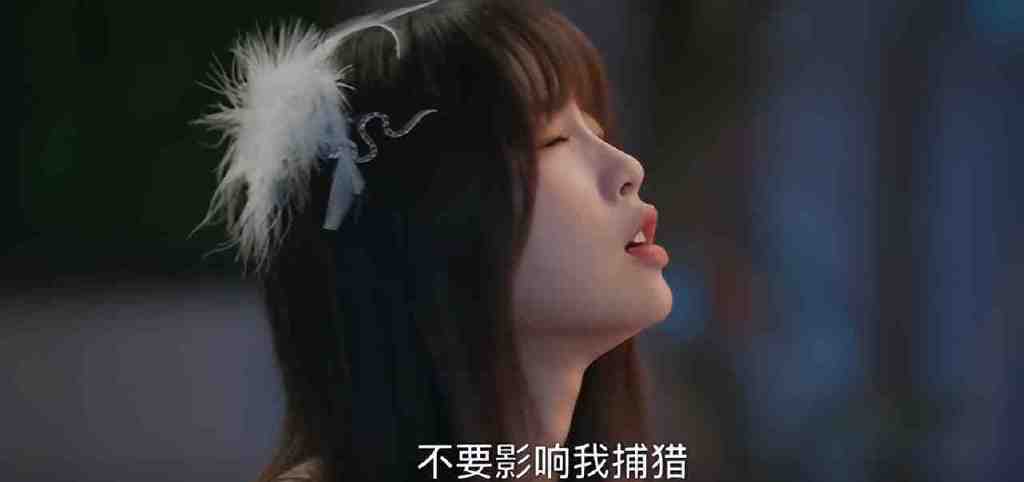 《两个人的小森林》节奏快，虞书欣张彬彬CP感强，众星纷纷宣传休闲区蓝鸢梦想 - Www.slyday.coM