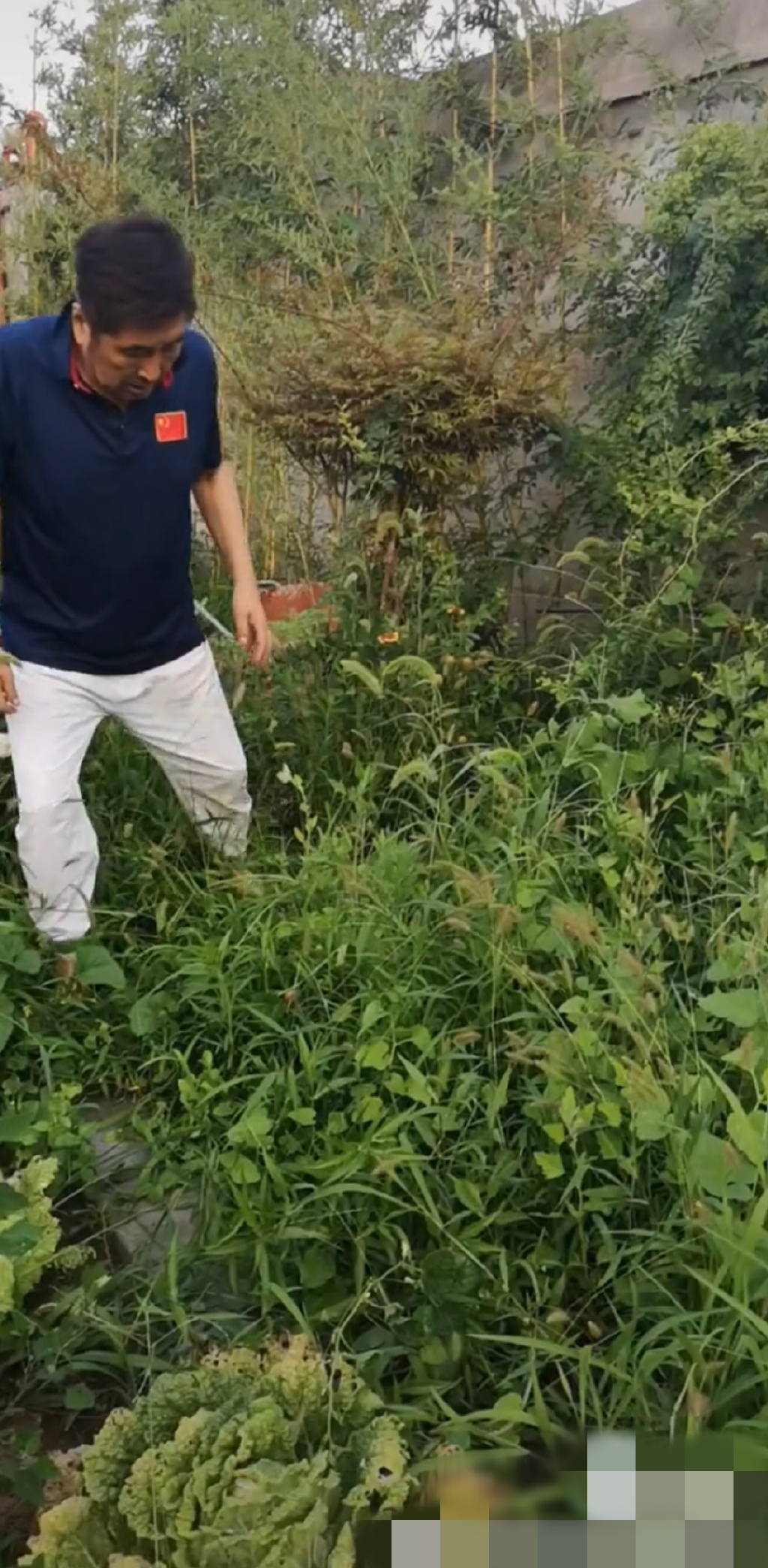 67岁知名港星定居河北小县城!住大别墅院子种菜,一人独居显寂寞休闲区蓝鸢梦想 - Www.slyday.coM 67岁知名港星定居河北小县城!住大别墅院子种菜,一人独居显寂寞休闲区蓝鸢梦想 - Www.slyday.coM