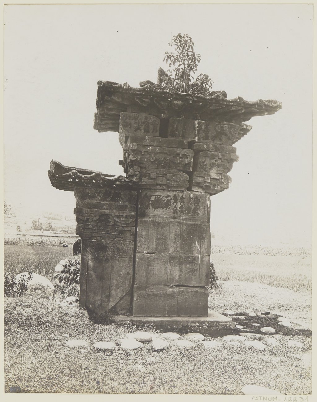 谢阁兰 于1914年拍摄的 四川雅安 高颐阙