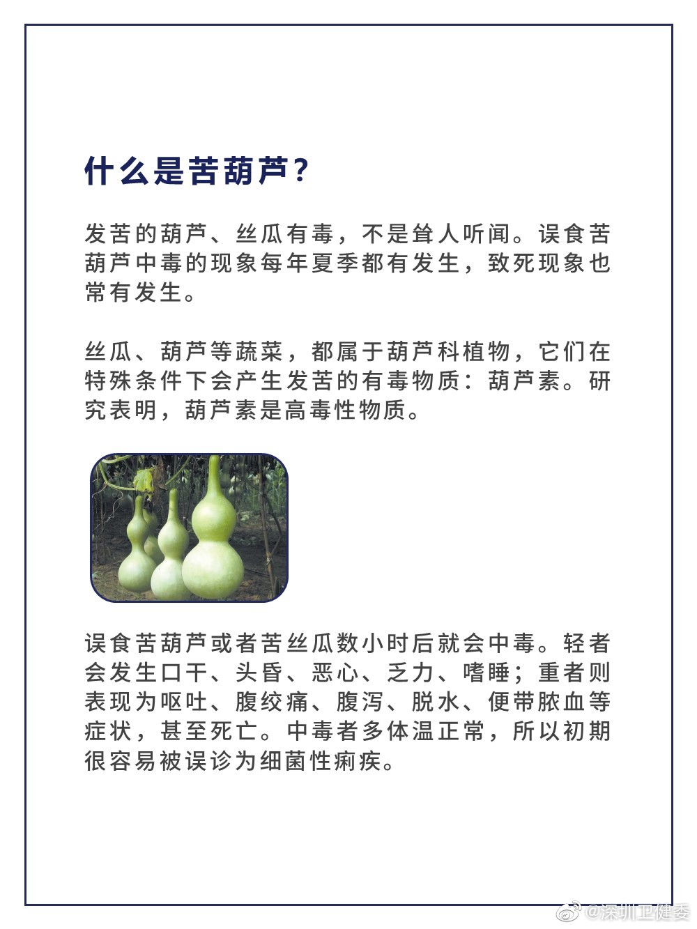 这种带苦味的瓜不能吃 广东一家四人中毒入院 这种带苦味的瓜不能吃 广东一家四人中毒入院