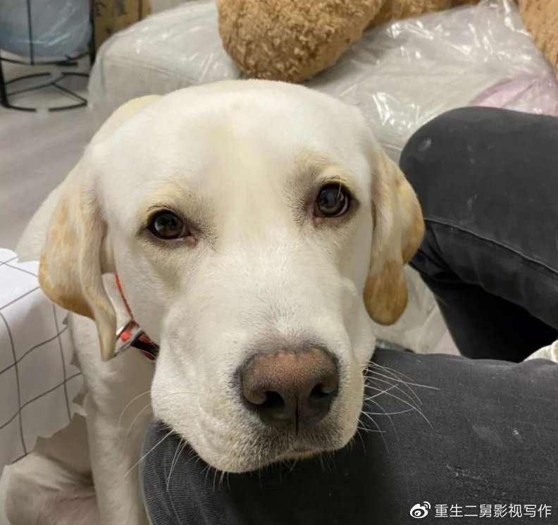 匡志均案子破了(匡志masashi) 第3张