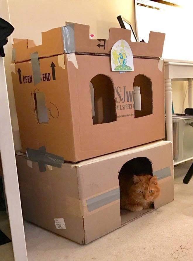 纸箱猫屋