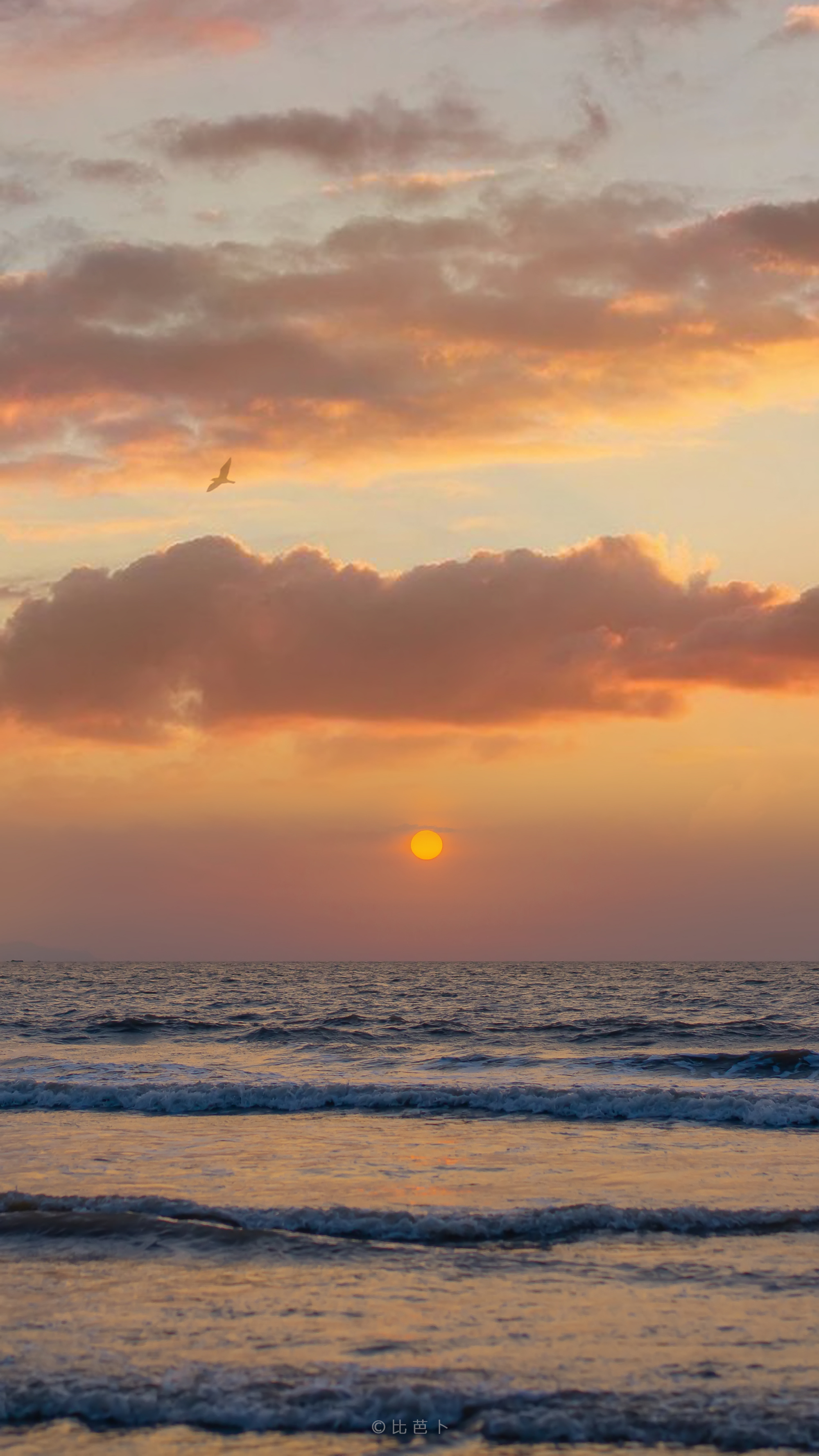 听闻黄昏是个浪漫主义者