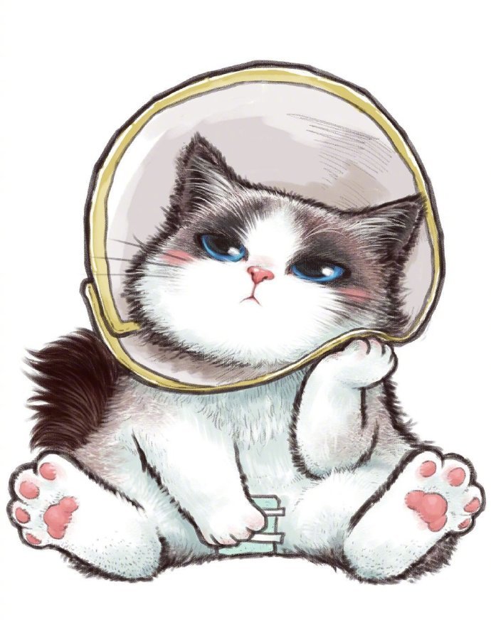 酷酷的猫咪插画系列头像