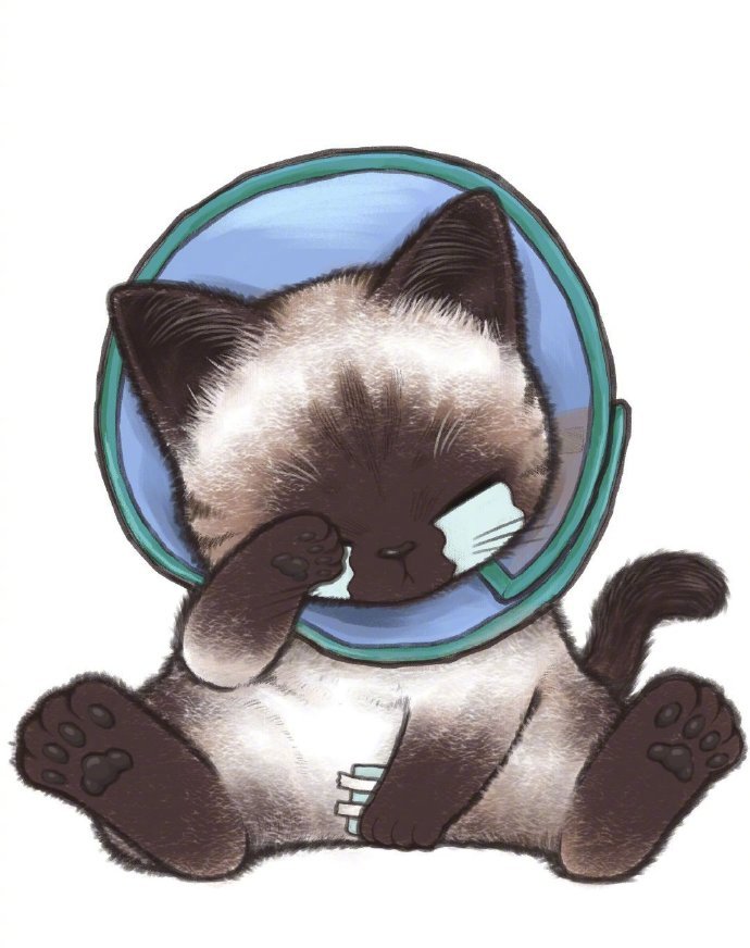 酷酷的猫咪插画系列头像