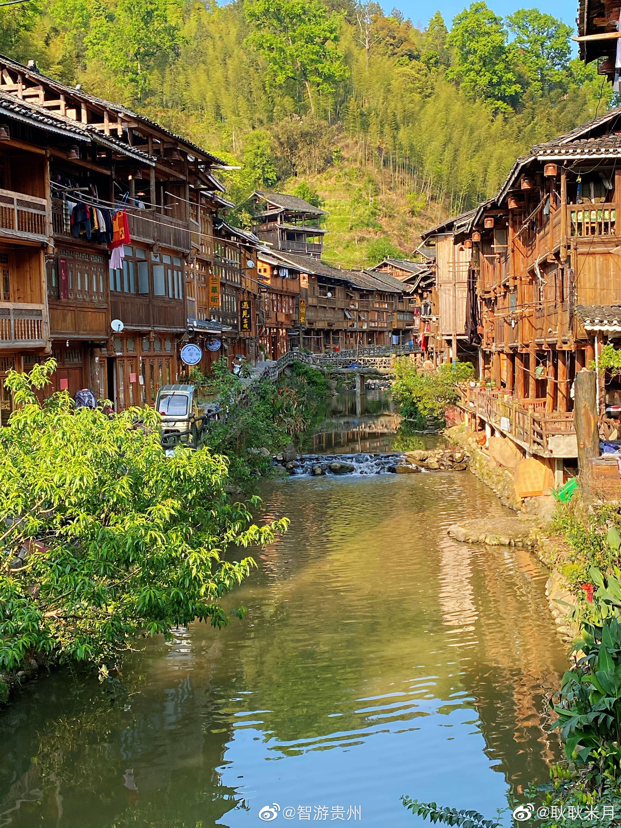 春天的贵州黔东南肇兴侗寨,树顶冒出了新绿的枝桠_高清图集_新浪网