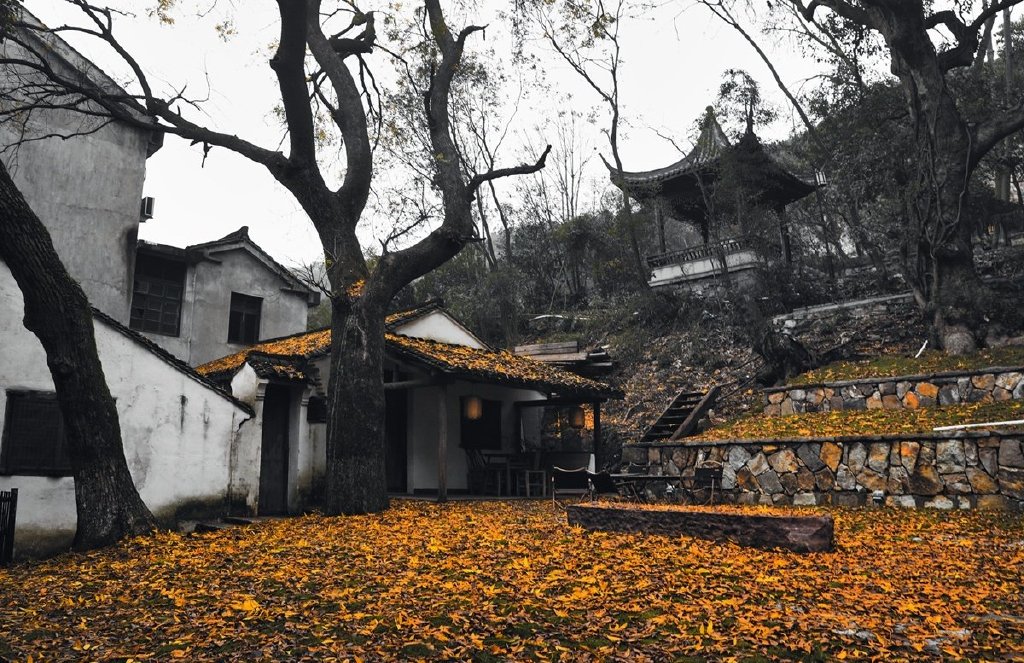 近日,绍兴市上虞区驿亭镇白马湖畔冬韵景致美不胜收.