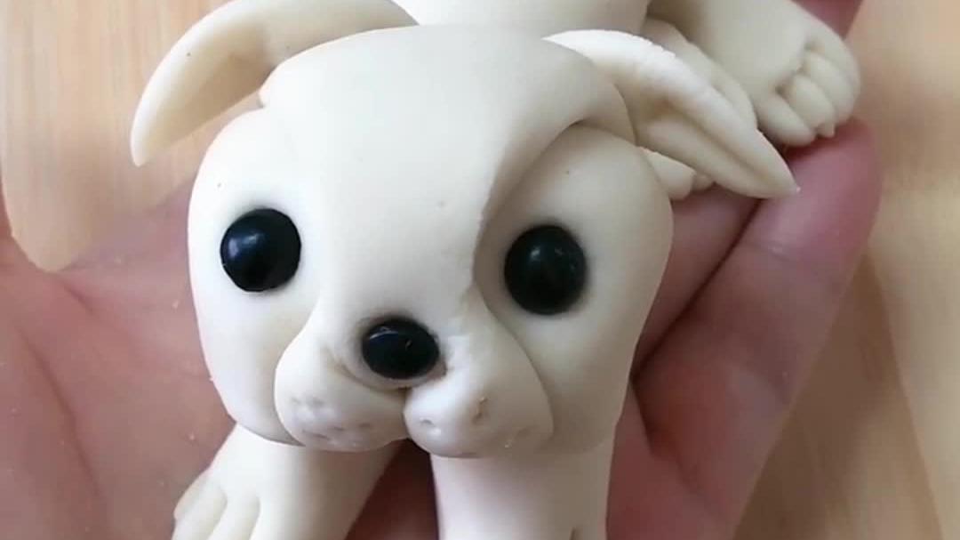 手把手教你做面食,可爱的小狗馒头心都被萌化了!