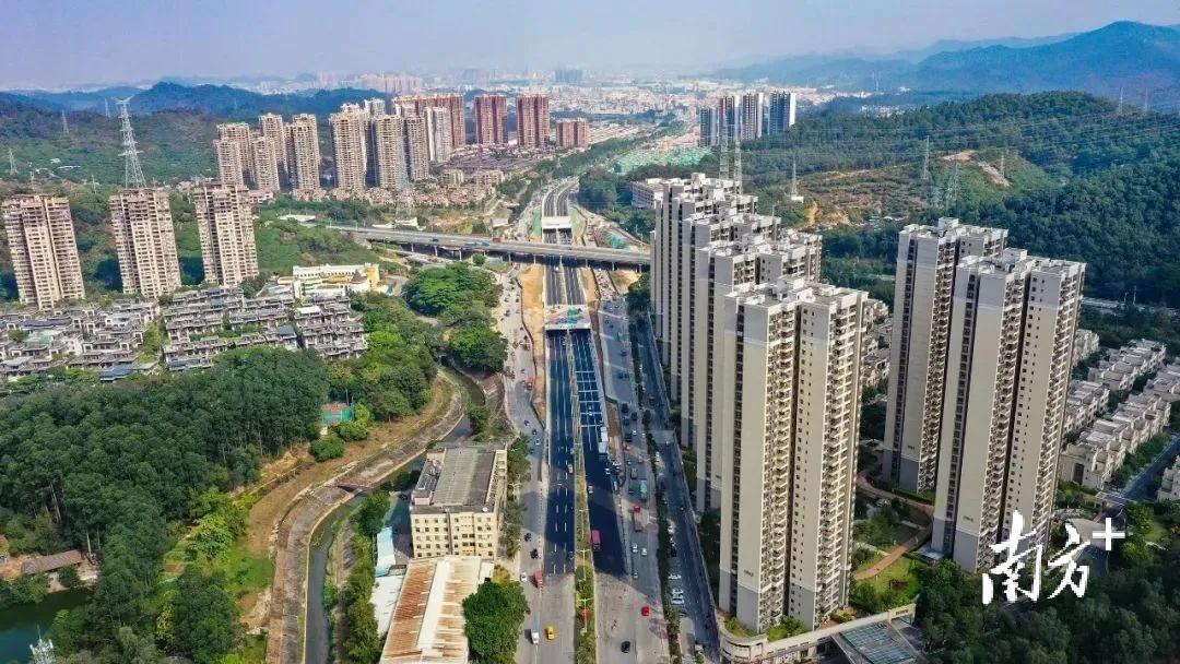 黄江人口_黄江强化人员安全有序流动,离莞返莞要求来了