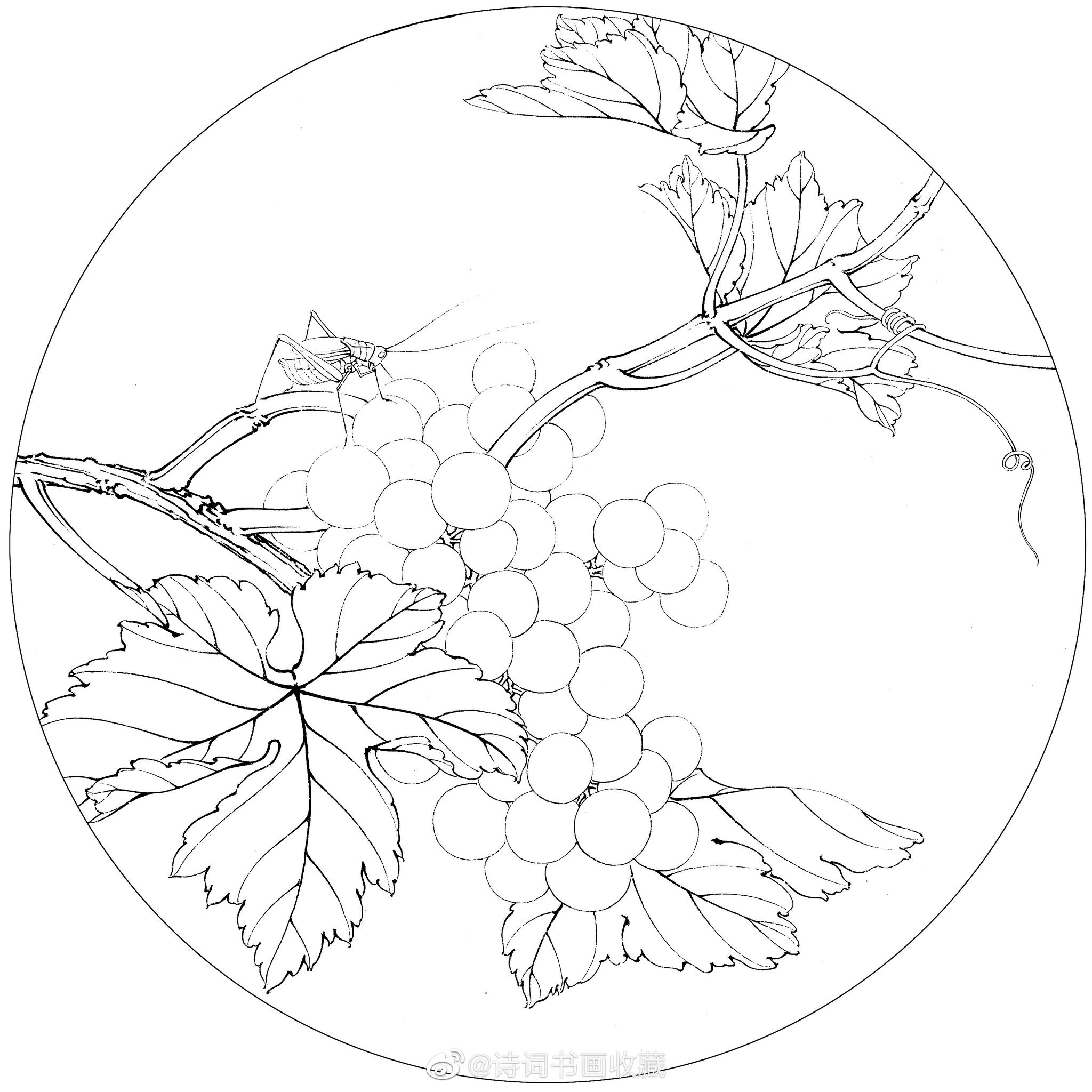 宋人小品团扇欣赏