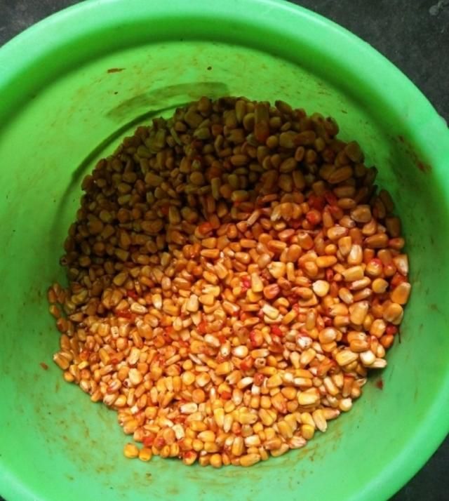 自制玉米窝料,钓友是否开始备战夏季钓鲤鱼?