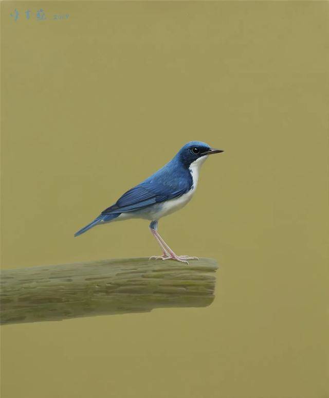 徐青巍写实油画作品欣赏