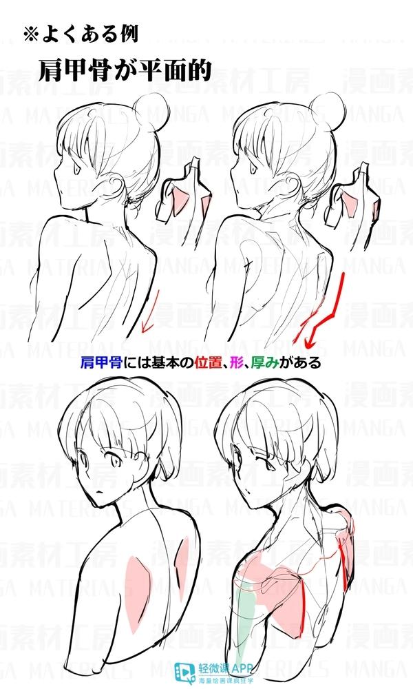 绘画入门基础教程特别适合新手入门
