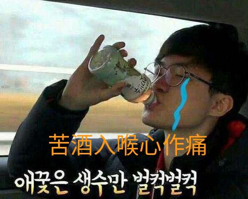 英雄联盟faker韩服段位掉至钻石网友菜得连大师都不如了