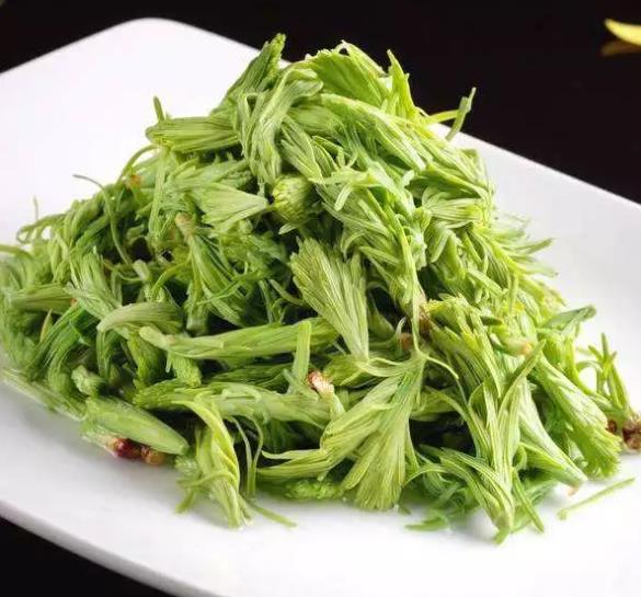 云南特有的一种野菜人称沙松尖淡淡的松子清香清凉爽口
