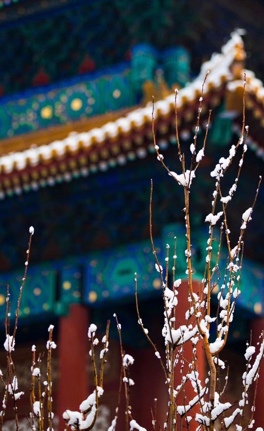 雅致精妙北京故宫藏清代梅花纹陶瓷