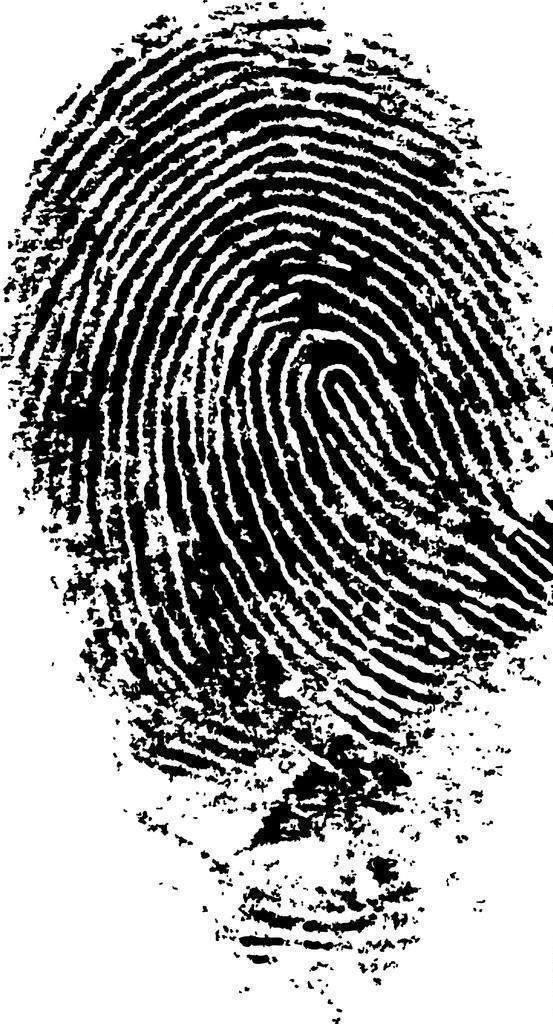 孔雀型指的是手纹的圈圈看起来像孔雀的眼睛,拥有这种指纹的人天生就