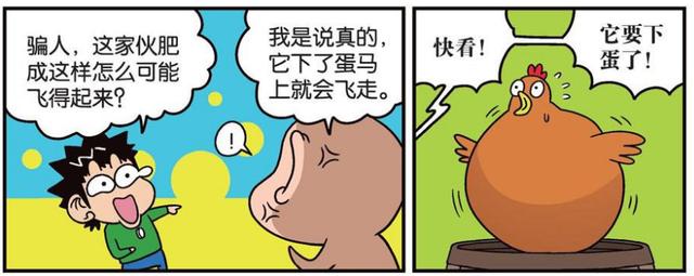 呆头农场:搞笑呢?这公鸡贼胖还会飞?小伙伴:这也太厉害