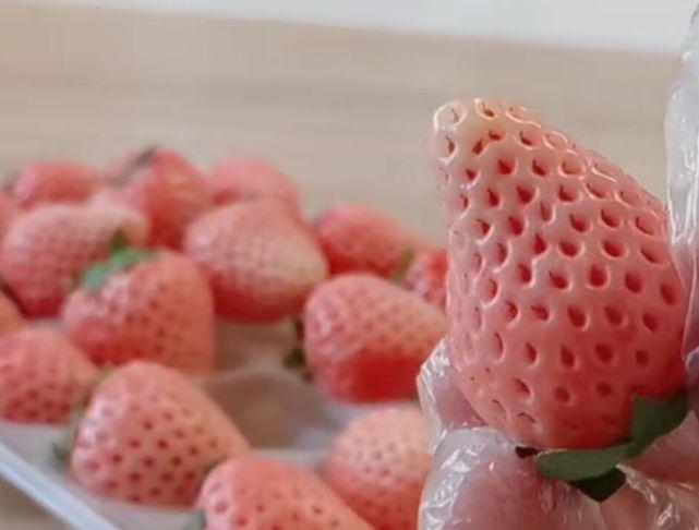 日本的水果到底多贵,一盒草莓四百多元,捧在手心都舍不得吃