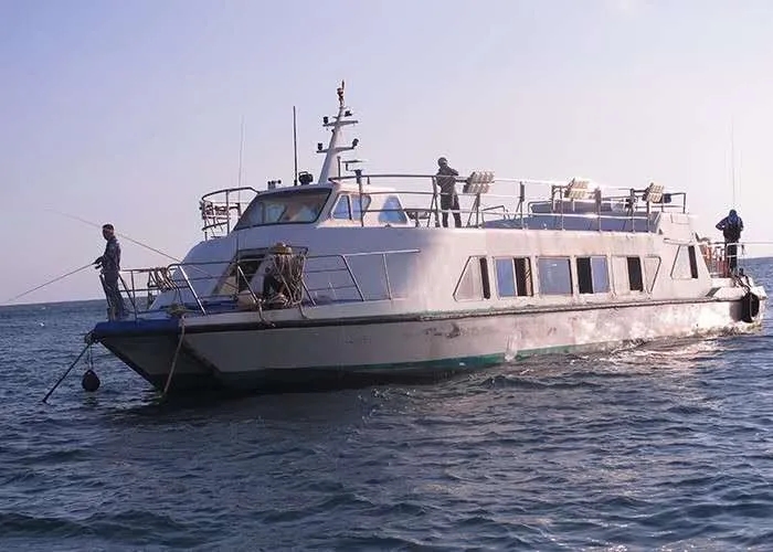 船钓海上平台钓挥杆海钓满满鱼获相约好友一起来感受与大海博弈的乐趣