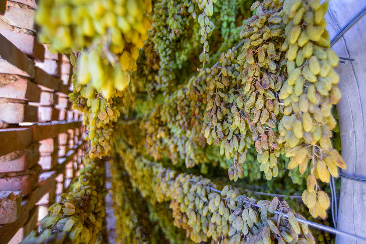 中国舌尖上的零食,新疆吐鲁番葡萄干晒房,是个神奇有秘密的地方