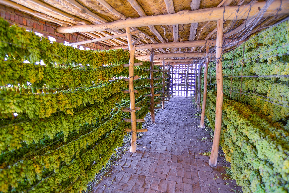 中国舌尖上的零食,新疆吐鲁番葡萄干晒房,是个神奇有秘密的地方