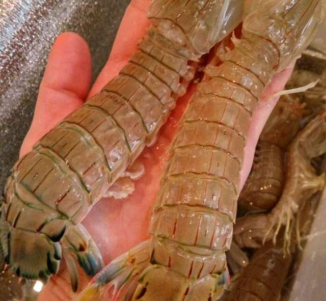 国外渔民晒普通早餐网友看后不淡定了一顿抵我半月工资